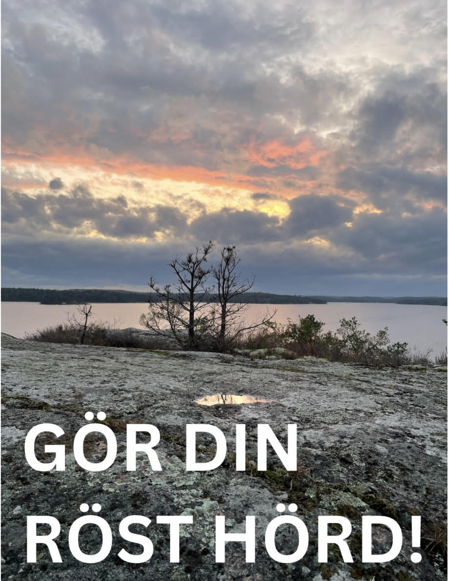 Gör din röst hörd! Styret i Valdemarsvik positivt till kärnkraft i skärgården